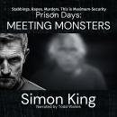 Prison Days: Meeting Monsters Audiobook