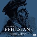 Commentaries on Ephesians Audiobook