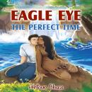Eagle Eye: The Perfect Time Audiobook