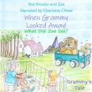 When Grammy Looked Away!: What did Zoe See? Audiobook