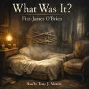 What Was It? Audiobook