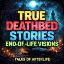 True Deathbed Stories  End-of-Life Visions Audiobook