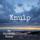 Knulp Audiobook