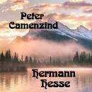 Peter Camenzind Audiobook