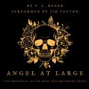 Angel at Large: The Chronicles of the Angel William Robert Travis Audiobook