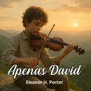 [Portuguese] - Apenas David Audiobook