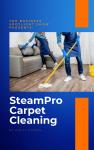 The Business Spotlight Show Presents: SteamPro Carpet Cleaning Audiobook
