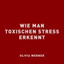 [German] - Wie man toxischen Stress erkennt Audiobook