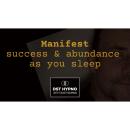 Manifest success and abundance while you sleep - A guided meditation - DST Hypno with Stu Newman Audiobook