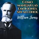 [Spanish] - Como manejar las emociones sin alcohol: Experiencias AA Audiobook