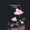 The romance of a shop Audiobook
