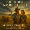 The Field of Amber Gold Audiobook