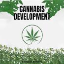 Cannabis Development Audiobook
