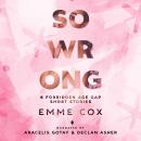 So Wrong: 6 Forbidden Age Gap Short Stories Audiobook