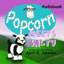 Popcorn Meets Salty: Meets Salty Audiobook