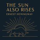 The Sun Also Rises Audiobook