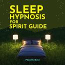 Sleep Hypnosis for Spirit Guide Audiobook