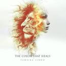 The Color That Heals Audiobook