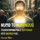 Numb to Numinous: Transforming Male Suffering Into Sacred Fuel Audiobook