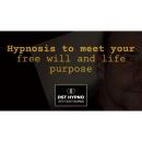 Hypnosis to meet your free will and life purpose - A guided meditation - DST Hypno with Stu Newman Audiobook
