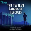 The Twelve Labors of Hercules: A bedtime story adaptation of an epic classic Audiobook