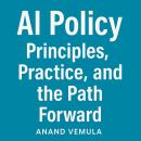 AI Policy Principles, Practice, and the Path Forward Audiobook