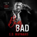 Big Bad Audiobook