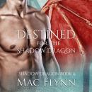 Destined For the Shadow Dragon: Shadow Dragon Book 4 (Dragon Shifter Romance) Audiobook