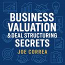 Business Valuation & Deal Structuring Secrets: How to Value an Online Business and Structure Win-Win Audiobook