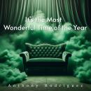 It's the Most Wonderful Time of the Year Audiobook