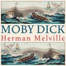[Spanish] - Moby dick Audiobook