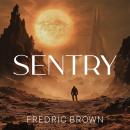 Sentry Audiobook