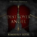 Destroyer Angel Audiobook