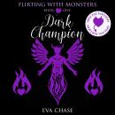 Dark Champion: Special Edition Audiobook
