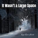 It Wasn’t a Large Space Audiobook