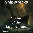 [French] - Shipwrecks: A tale of last moments Audiobook