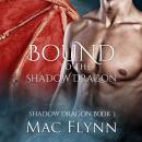 Bound to the Shadow Dragon: Shadow Dragon Book 3 (Dragon Shifter Romance) Audiobook