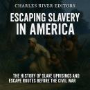 Escaping Slavery in America: The History of Slave Uprisings and Escape Routes Before the Civil War Audiobook