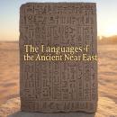 The Languages of the Ancient Near East: The History of the Languages and Scripts Developed across th Audiobook