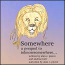 Somewhere (a prequel to toknowsomewhere) Audiobook