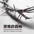 苦难的真相 Audiobook