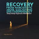 Recovery from Narcissistic Abuse, Gaslighting, and Codependency: Deep Sleep Hypnosis Meditation Audiobook