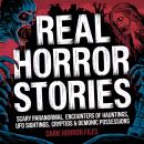 Real Horror Stories: Scary Paranormal Encounters of Hauntings, UFO Sightings, Cryptids & Demonic Possessions Audiobook