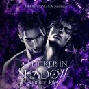 A Flicker In Shadow Audiobook