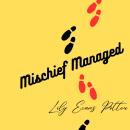Mischief Managed Audiobook