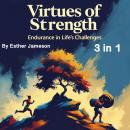 Virtues of Strength: Endurance in Life’s Challenges (3 in 1) Audiobook