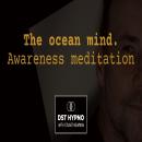 The ocean mind awareness meditation - A guided meditation - DST Hypno with Stu Newman Audiobook