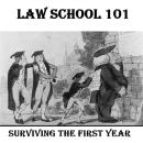 Law School 101: Surviving the First Year: Contracts, Crimes, Torts & Constitutional Law Audiobook