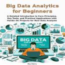 Big Data Analytics for Beginners: A Detailed Introduction to Core Principles, Key Tools, and Practic Audiobook