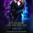 Shadow Underground: An Urban Fantasy Romance Audiobook